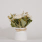 Artificial Pearl Dahlia Flower bunch, Ceramic vase White